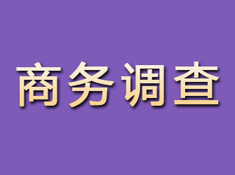 曹县商务调查